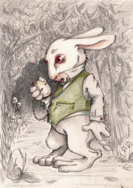 Белый кролик