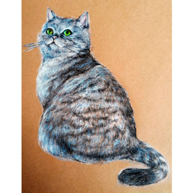 Зеленые глаза