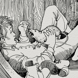 Морской волчонок (крыса)