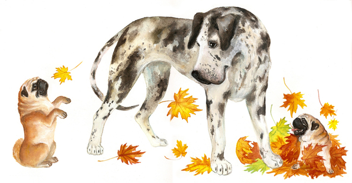 Собачьи мечты