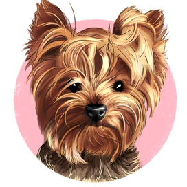 Портрет собаки