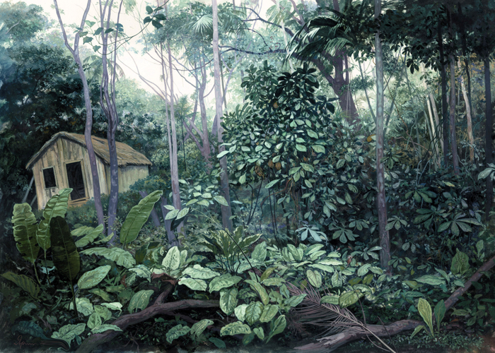 Заброшенная тапера