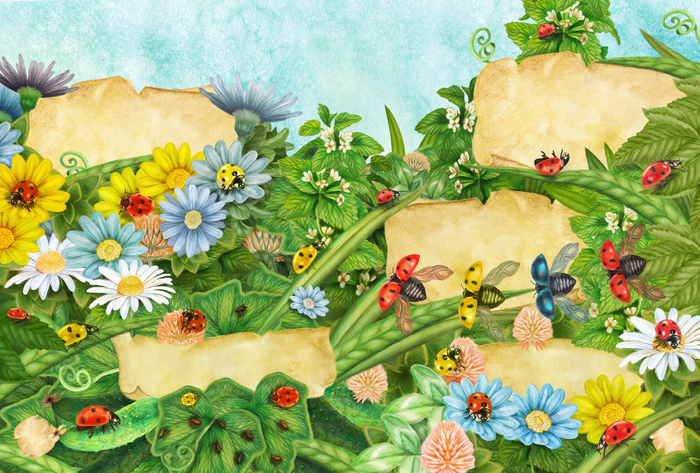 Большая Книга Насекомых