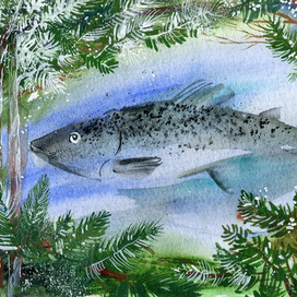 Лесное озеро