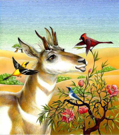 MacGraw Hill Book Cover