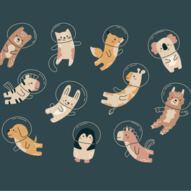 Животные в космосе