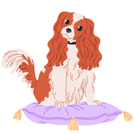 Характеры и породы собак