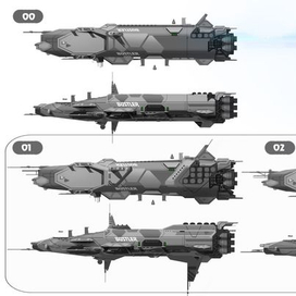 Варианты карголайнера.