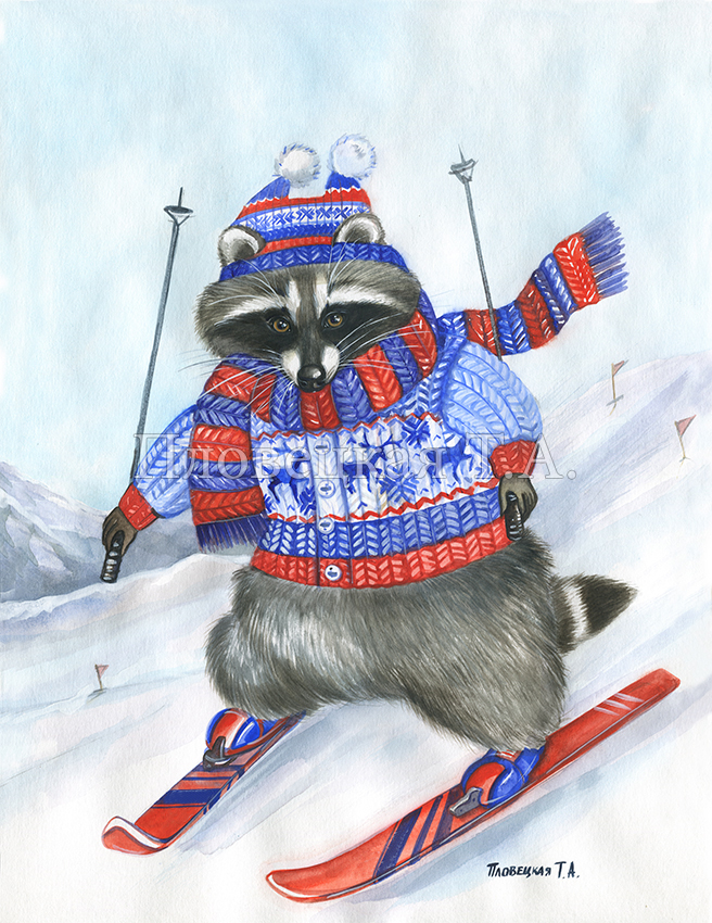 Енот лыжник