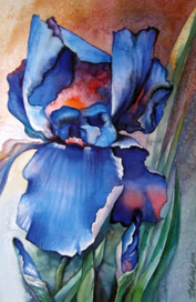 ,,Ириска.Цветок,,Акварель