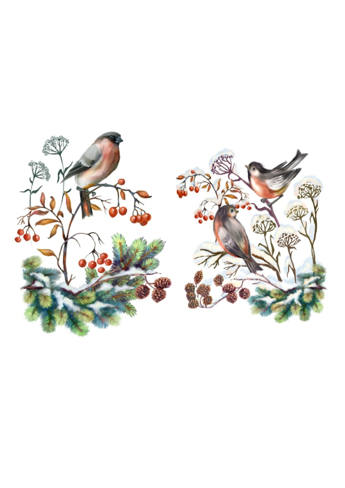 Снегири на ветках