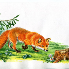 А вот и завтрак.