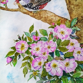 Бриллиантовый амадин.