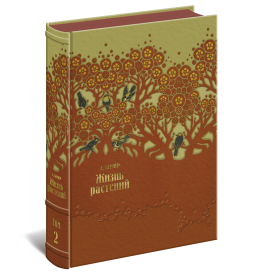 Жизнь растений