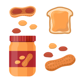 Vector illustration set of peanuts on white background eps