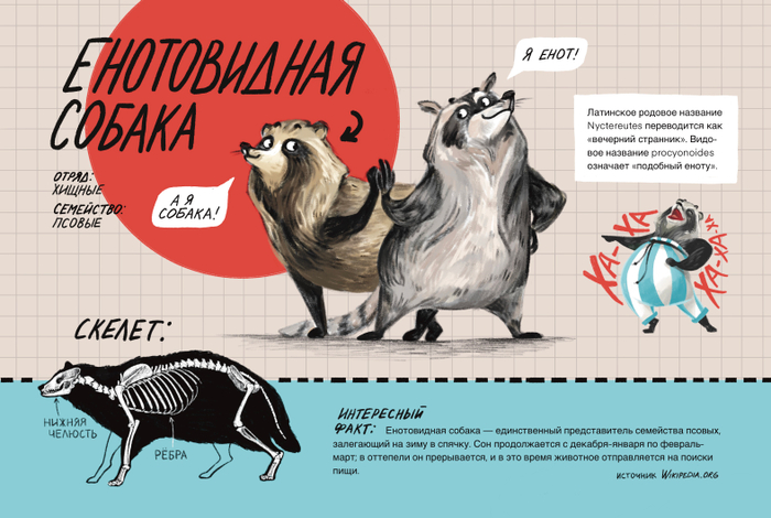 Иллюстрация для журнала о животных