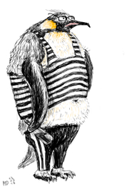 седовласый пингвин-маргинал
