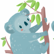 Коала