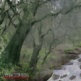 Загадочный  лес (IpadPro)