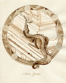 Опера Гарнье.