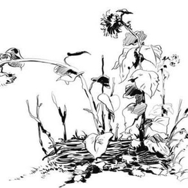 (без названия)