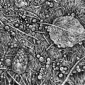 мир у твоих ног