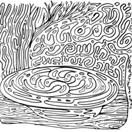 ТАРЕЛКА СУПА НА ПРИРОДЕ