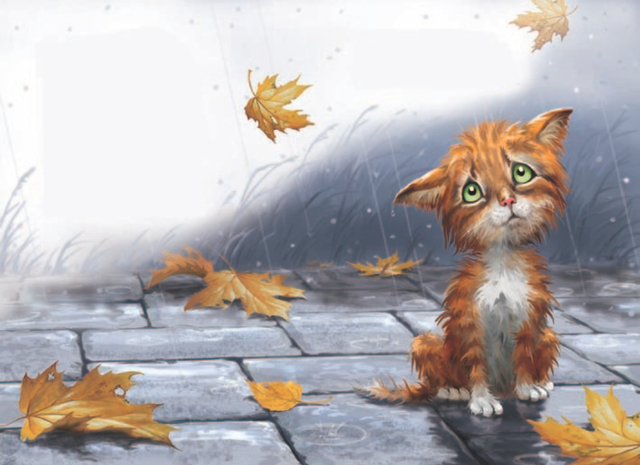 Я несчастный голодный котенок 1