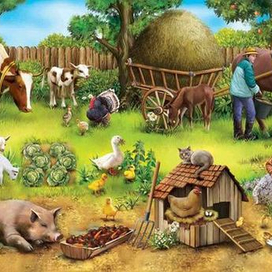 жизнь фермы