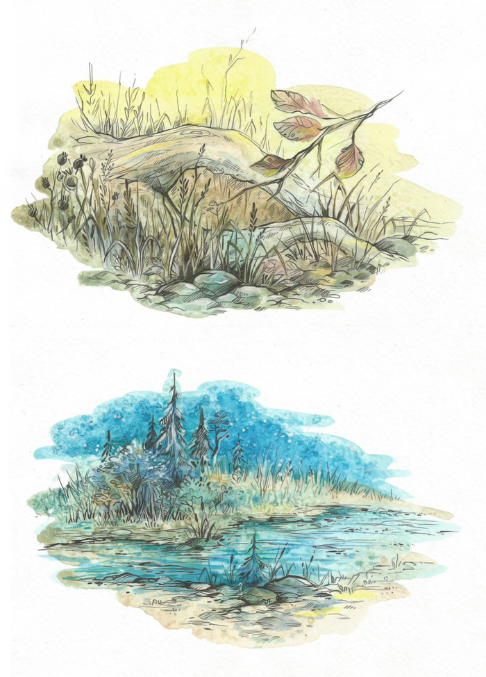 Иллюстрации-заставки