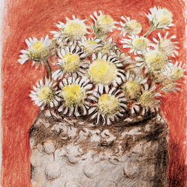 хризантемки