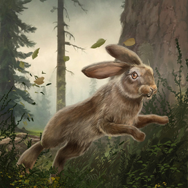 Заяц номер два