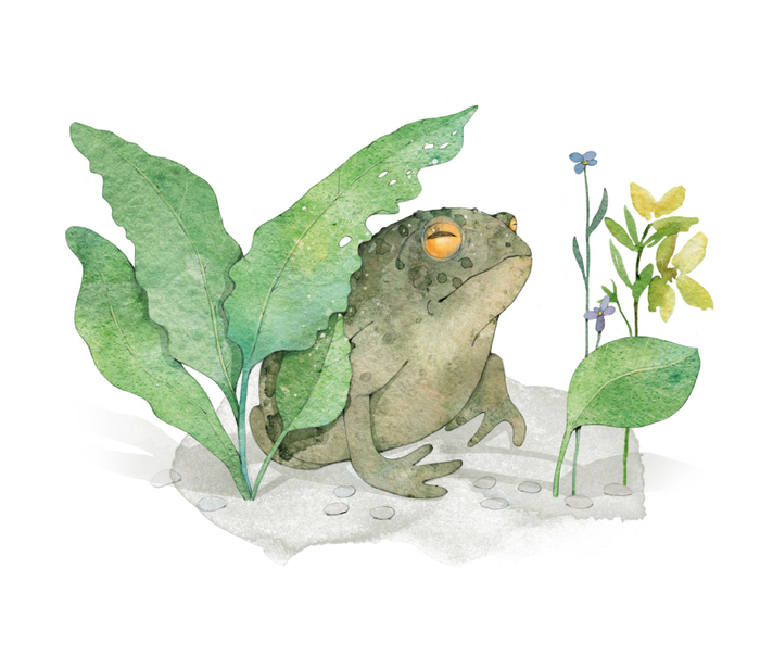 "Совиный волк"