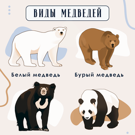 Плакат для биологии