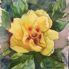 Пион Куинджи