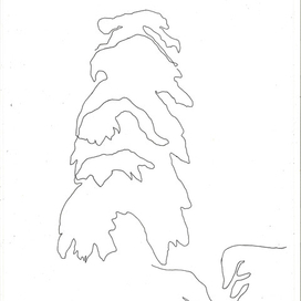 Утро в сосновом бору