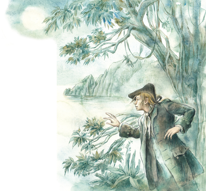 К "Острову сокровищ"