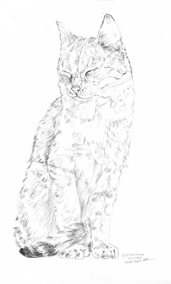 Котик... желание покоя...