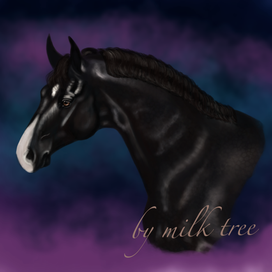 a horse in the night