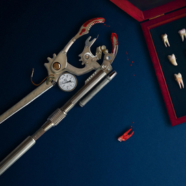 Коллекционер