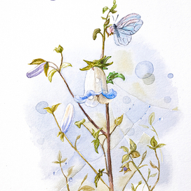 «Колокольчик»