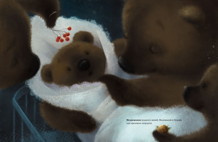 Новоприбывший