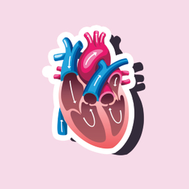 Сердце \ Heart