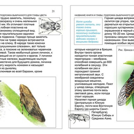 энциклопедия