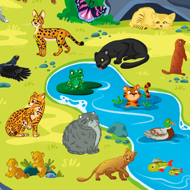 Дикие кошки и другие