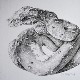 Змея с колибри