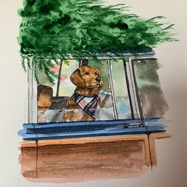 "К Новому Году готовы!"