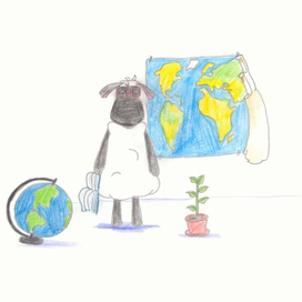 Я фотограф !