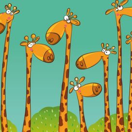 Стадо жирафов