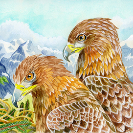 Golden eagles